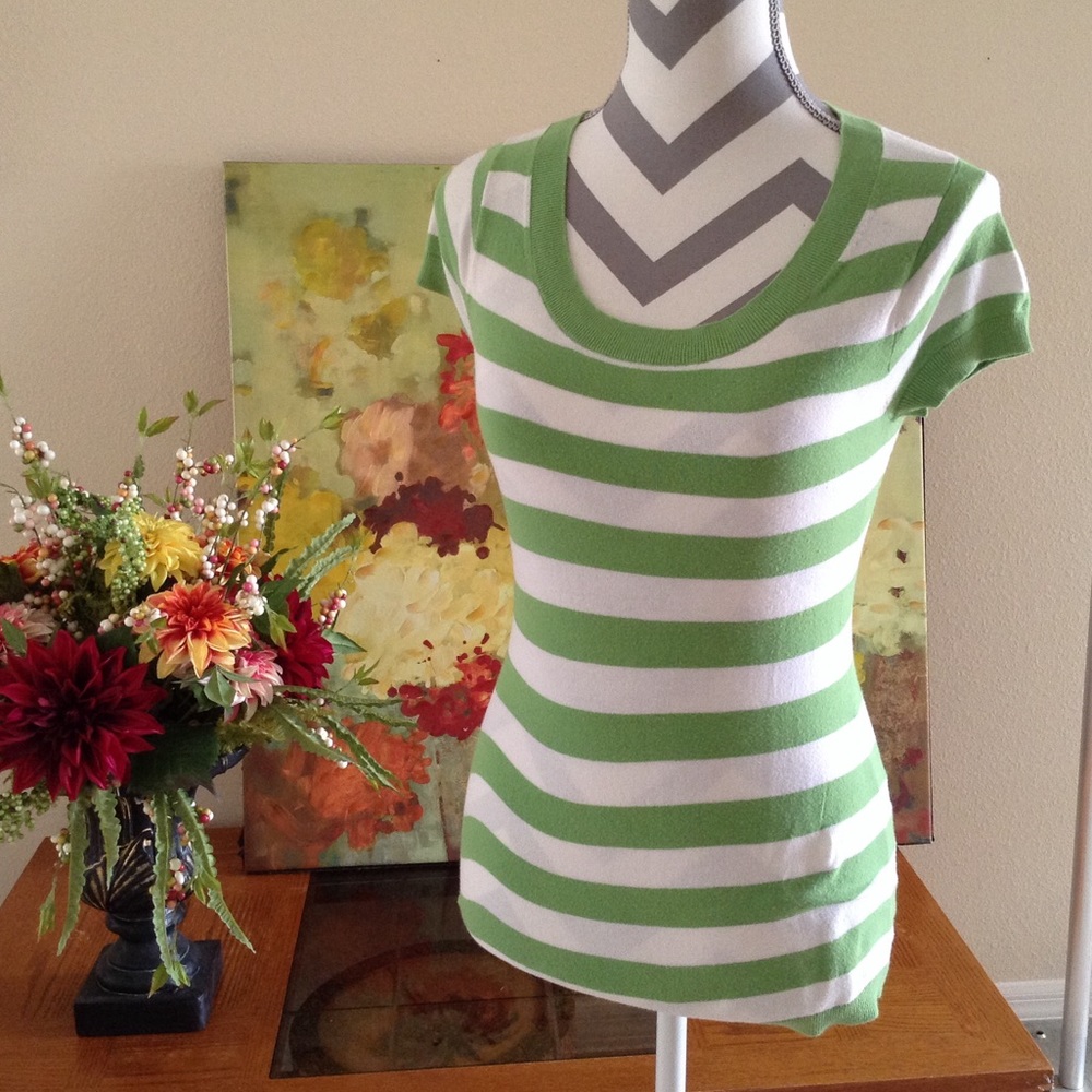Banana Republic Beautiful Green/White Striped Tee